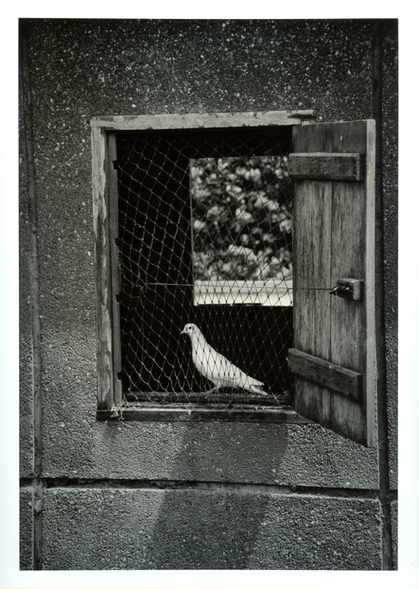 Lomé tirage argentique noir et blanc 2002